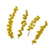 Venta al por mayor Acacia repujada flor seca flor hecha a mano paquete de material DIY espécimen de planta accesorios para fotos pegamento de gota joyería