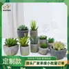 19 Nuevas Plantas Artificiales Creativas en Maceta al por Mayor Decoración para el Hogar Plantas Verdes Valor Artificial Bonsái Estilo Escandinavo Plantas Artificiales en Maceta