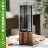 Ave del Paraíso Planta Hidropónica Sala de Estar Casa Próspera Planta Verde Interior Strelitzia Reginae Todo el Año Absorción de Formaldehído Oficina Escritorio Planta en Maceta