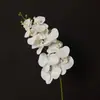 Flores Artificiais Phalaenopsis de Impressão 3D de 9 Cabeças Transfronteiriças Flores de Casamento Flores Falsas Decoração de Palco Hotel Salão de Casamento Arranjo de Flores