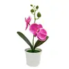 Bonsái de orquídea Phalaenopsis, flores artificiales y plantas verdes, adornos decorativos de alta gama, flores artificiales, plantas verdes de alta gama, flores artificiales