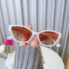 Óculos de Sol Masculino Fotografia de Rua Óculos Vintage Óculos de Sol Feminino Armação Grande Estrela Mesmo Estilo Olhos 2025 Nova Moda 97137