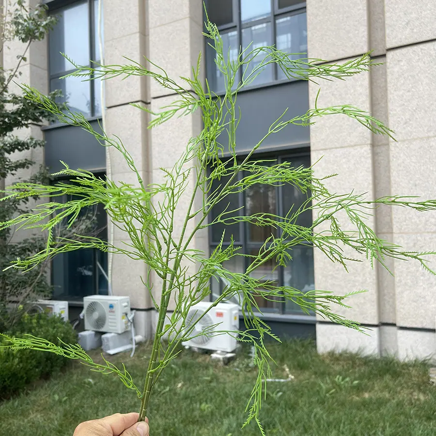 5# 34草喷色芦荀草-浅绿 3元.JPG