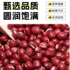 Feijão Vermelho 2,5kg em Embalagem com Bico, Portátil e Fácil de Armazenar, Exclusivo para Supermercados, Feijões Frescos da Estação, Grãos de Casca Fina Fáceis de Cozinhar até Ficarem Macios