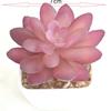 Suculenta Simulada Cabeza de Flor de Suculenta Simulada Bonsái Simulado Accesorios DIY Fabricante Set de Cabezas de Flor de Suculenta de Color Personalizado