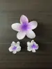 Venda Quente Transfronteiriça Flor Plumeria Cabelo Gradiente Flor Cabelo Grampo de Cabelo Conjunto de 18 Peças Rabo de Cavalo Acessórios de Cabelo Tubarão Material de PC Yiwu