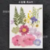 Marco de Fotos de Madera con Flores Secas Carta de Primavera Kit de Materiales Acrílicos Transparentes para DIY Sobre en Relieve Adorno de Espécimen