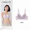 Roupa íntima de renda francesa fina e sem costura para o verão para mulheres com seios pequenos, suporte macio com tira de gelatina, sustentação lateral dos seios, sutiã respirável