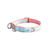 Collar y Correa para Perro de Mascota Transfronterizo, Placa de Identificación Anti-Pérdida Grabada, Collar para Golden Retrievers, Perros Medianos y Grandes, Shiba Inu, Perros Pequeños