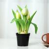 Simulación Tulipán de goma blanda en maceta fotografía casera decoración de boda flor de simulación simulación Tulipán fabricantes de flores falsas