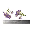 Cabeza de Flor Simulada Flor Estrella Azul de 9 Puntas Hecha a Mano DIY Cabeza de Flor Pequeña Decoración para Caja de Flores Tocados de Novia Accesorios para el Cabello