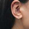 Estilo Ins Nuevo Estilo Aguja para Perforación de Oreja Aretes Elegantes con Circonias Incrustadas con Estrellas y Letras Alrededor de la Aurícula Aretes Inclinados