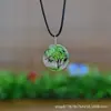 Venda Direta de Fábrica de Gypsophila Seca Flor de Renda Estilo Árvore da Vida Espécime de Flor Real Colar Fresco e Doce Pastoral