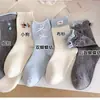 Novas Meias com Laço Enrolado para Mulheres, Meias de Cano Médio para Primavera e Outono, Meias de Algodão para Meninas, Meias Esportivas Fofas, Atacado