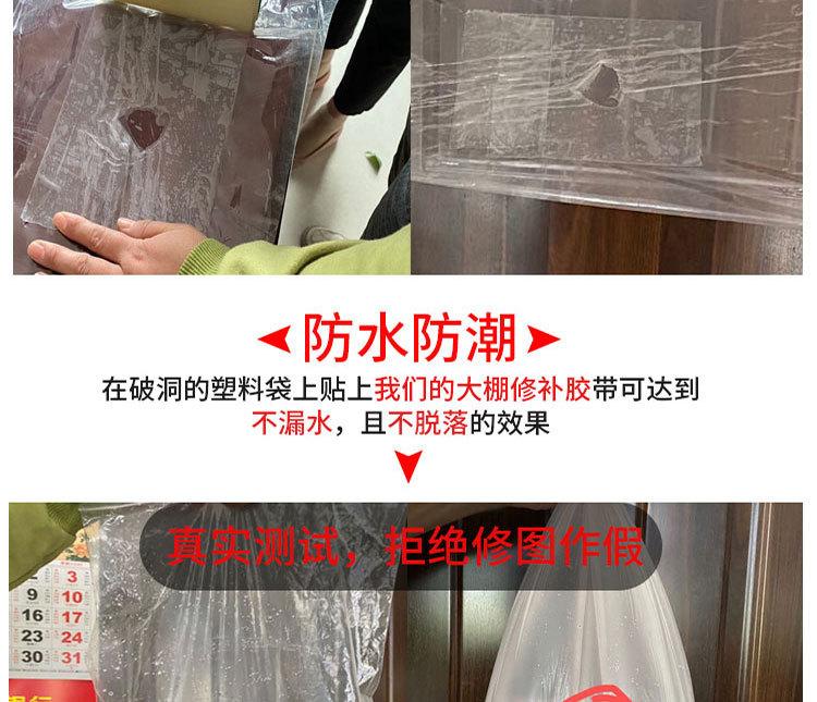 10米_05.jpg