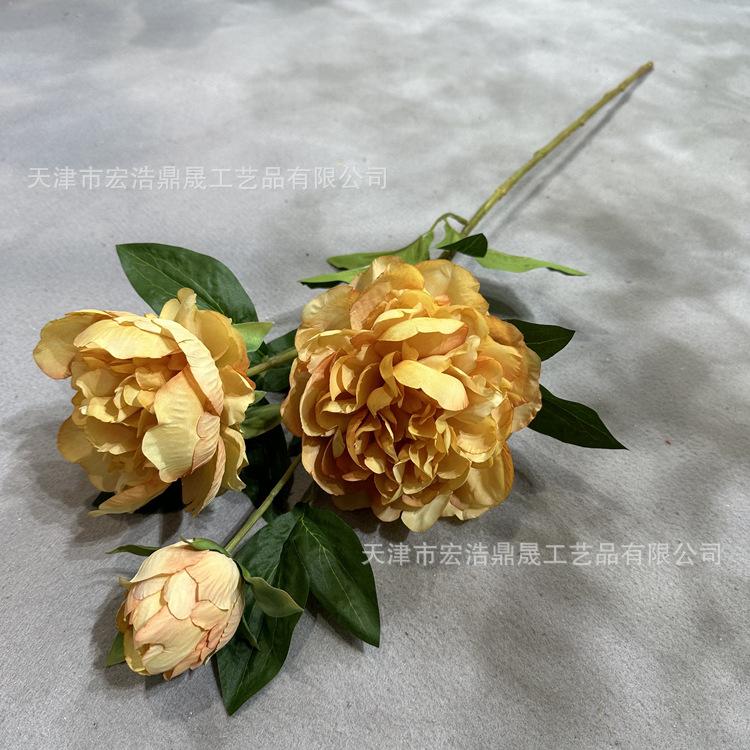 微信图片_202302241630301_副本