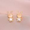 Aretes para Mujer Estilo Japonés y Coreano Ropa de Trabajo Diaria Aretes de Circonita de Conejo Diseño Nicho de Lava Aretes Estilo Ins