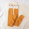 Calcetines de terciopelo de coral para mujer, otoño e invierno, forro polar, gruesos y cálidos, calcetines hasta la rodilla o la pantorrilla de dibujos animados de felpa lindos japoneses