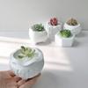 Jiahimei Yeso Suculenta Maceta Molde de Silicona DIY Yeso Pegamento Jarrón Candelabro Adorno Herramienta de Pulido
