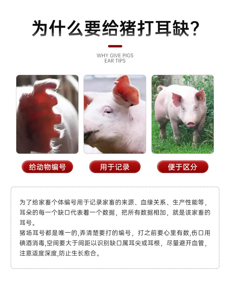 耳缺钳详情123_03.jpg