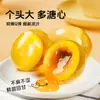 Huevos Centenarios Especialidad de Hunan Cinco Especias Hervidos Suaves Extra Grandes Sin Plomo Yema Amarilla Flor de Pino para Venta al por Mayor Comercial
