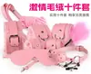 Conjunto de Bondage Sexy de Princesa Misteriosa para Mujer, Juguetes Alternativos, Productos SM para Adultos, Mordazas, Látigos de Cuero, Tapones Anales, Serie Completa