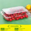 Cajas Desechables para Empaque de Frutas, Cajas de Plástico para Frutas de Varios Tamaños, Cajas de Plástico Desechables para Frutas con Tapas