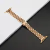 Para Apple Apple Watch9 8 7 6 5 Ultra2 Sete Contas Aço Inoxidável Pequeno Homem Cintura Feminina Pulseira