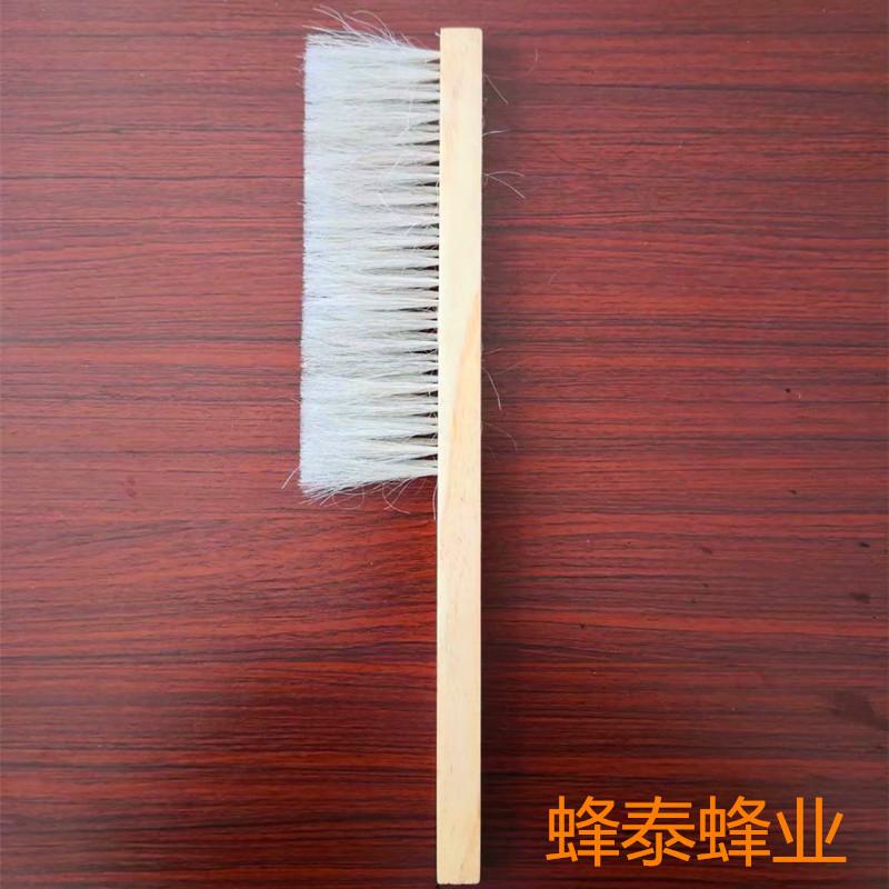 psb (3)_副本44474