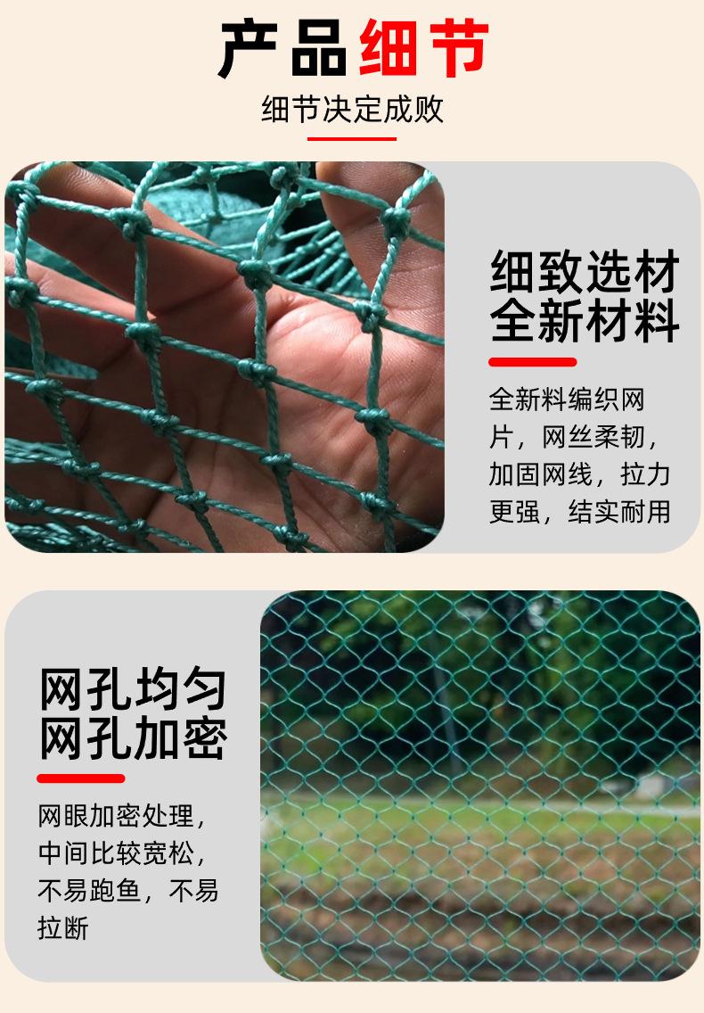 详情 (8).jpg