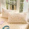 Funda de almohada de algodón puro, pieza individual, paquete doble de algodón puro, funda de almohada estampada para cuatro estaciones, 48 cm x 74 cm, funda interior para núcleo de almohada, pieza individual