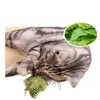 Juguete de Pájaro con Sonido para Gatos para Aliviar el Aburrimiento, Palo de Juguete para Gatos para Gastar Energía, Adecuado para Gatitos y Gatos, Palo de Juguete para Gatos