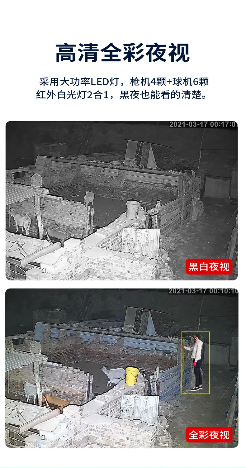 详情-12