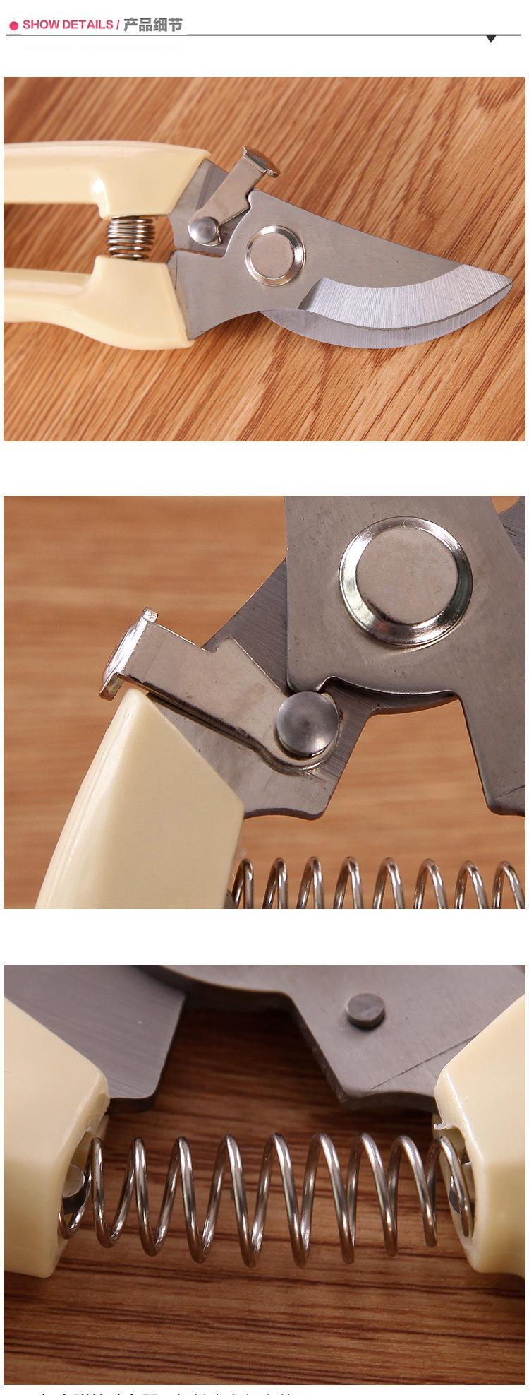 O1CN01djlnIy2IYXgsTfFNP_!!3609729298-0-c