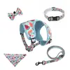 Conjunto de Coleira e Guia para Pet Estilo Colete de Liquidação, Guia de Malha Respirável para Cachorro