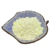 Polvo de Aguacate, Polvo de Aguacate, Bebida Sólida de Vitamina C Soluble en Agua al por Mayor, Polvo Soluble en Agua de Aguacate, Extracto de Grado Alimenticio
