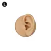 Modelo de Exhibición de Auriculares de Oreja de Silicona Joyería de Pendientes de Oreja Práctica de Limpieza de Orejas Prop de Enseñanza de Simulación del Cuerpo Humano