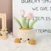 Planta Suculenta Tulipán de Venta Caliente Transfronteriza Maceta Pequeños Adornos para Escritorio de Oficina Regalos de Tejido de Lana para Maestros y Mejores Amigos