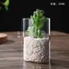Florero de Vidrio de Borosilicato Alto Botella Cilíndrica Recta para Plantas Hidropónicas Adorno de Decoración de Escritorio Maceta Pequeña Florero Venta al por Mayor