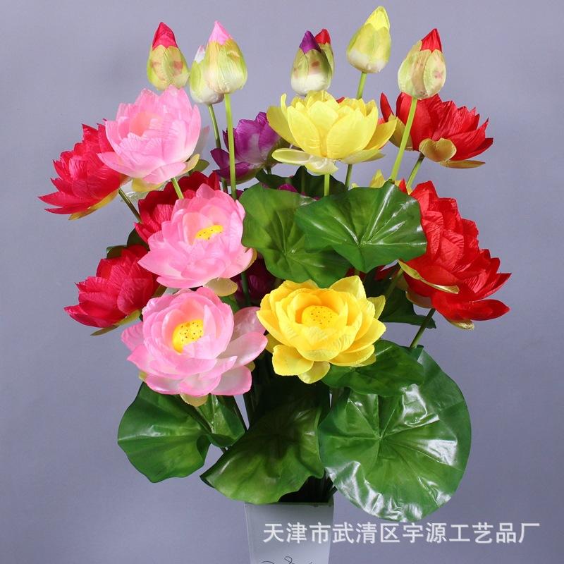 IMG_9929_副本.jpg