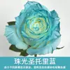 Tinta Spray para Flores, Corante Azul Gelo Triturado Ameixa, Flor de Sabão, Flor Seca, Spray de Arte Floral, Suprimentos para Floricultura Atacado