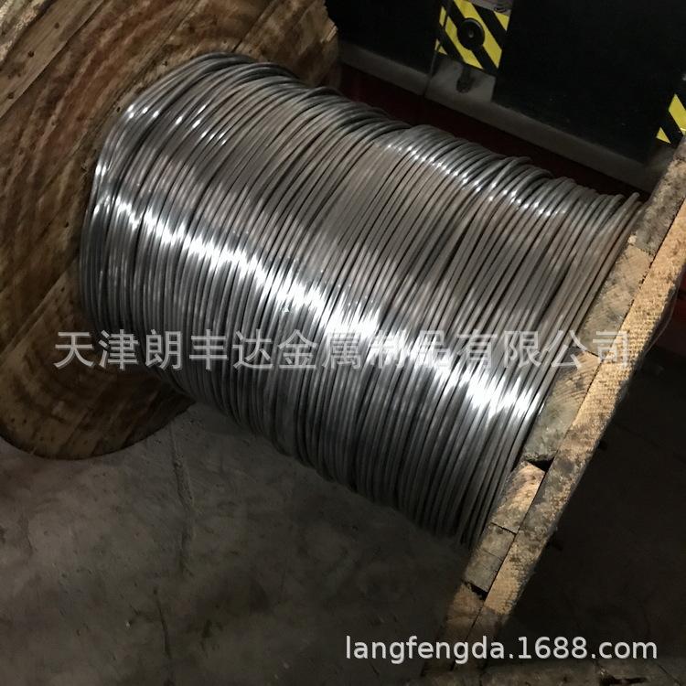 铅丝 (5).JPG