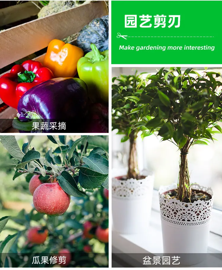 详情图02.jpg