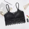 Nuevo Encaje de Encaje de Pestañas de Princesa Wrap de Pecho Belleza Sexual Tubo Trasero con Base de Almohadilla en el Pecho Tirante Anti-deslizamiento Sujetador Venta al por Mayor
