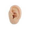 Simulação de características faciais modelo perfurado exercícios auriculares adereços de ensino língua unha nariz unha boca umbigo exibição molde de silicone
