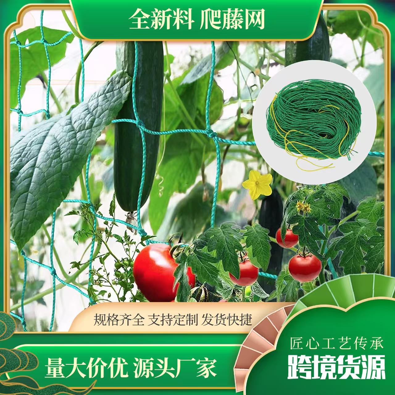 微信图片_20241015094109