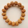 Pulsera Pequeña de Semilla Completa Rudraksha para Hombres y Mujeres, Pequeño Regalo para Cuentas de Oración Budista de Mano, Joyería de Mano en Vivo