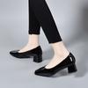 Zapatos de Tacón Cuadrado para Mujer 2025 Primavera Nuevo Temperamento Simple Estilo Coreano Tacón Grueso Boca Baja Zapatos Individuales Zapatos de Trabajo Zapatos para las Cuatro Estaciones