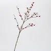 Frutas Artificiais de Haste Longa, Mirtilos Selvagens, Galhos e Flores Secas, Decoração Estilo Wabi-Sabi para Pousada, Hotel, Sala de Estar e Arranjo de Paisagem