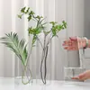 Botella de Musgo Transparente de Múltiples Especificaciones Botella Ecológica Vidrio de Borosilicato Alto Botella para Plantas Hidropónicas Redonda Recta Jarrón Decorativo